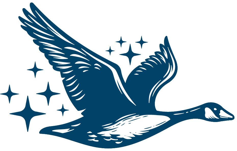 background bird background bird