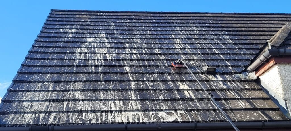 Roof Pressure Washing