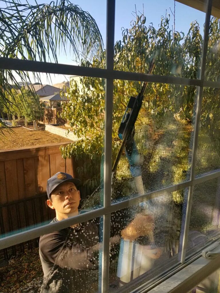 Professional Window Cleaning