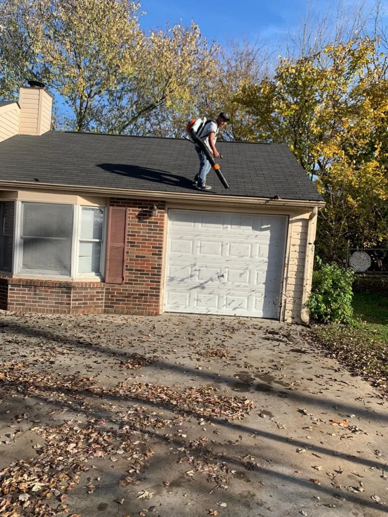 Roof Cleaning Boise