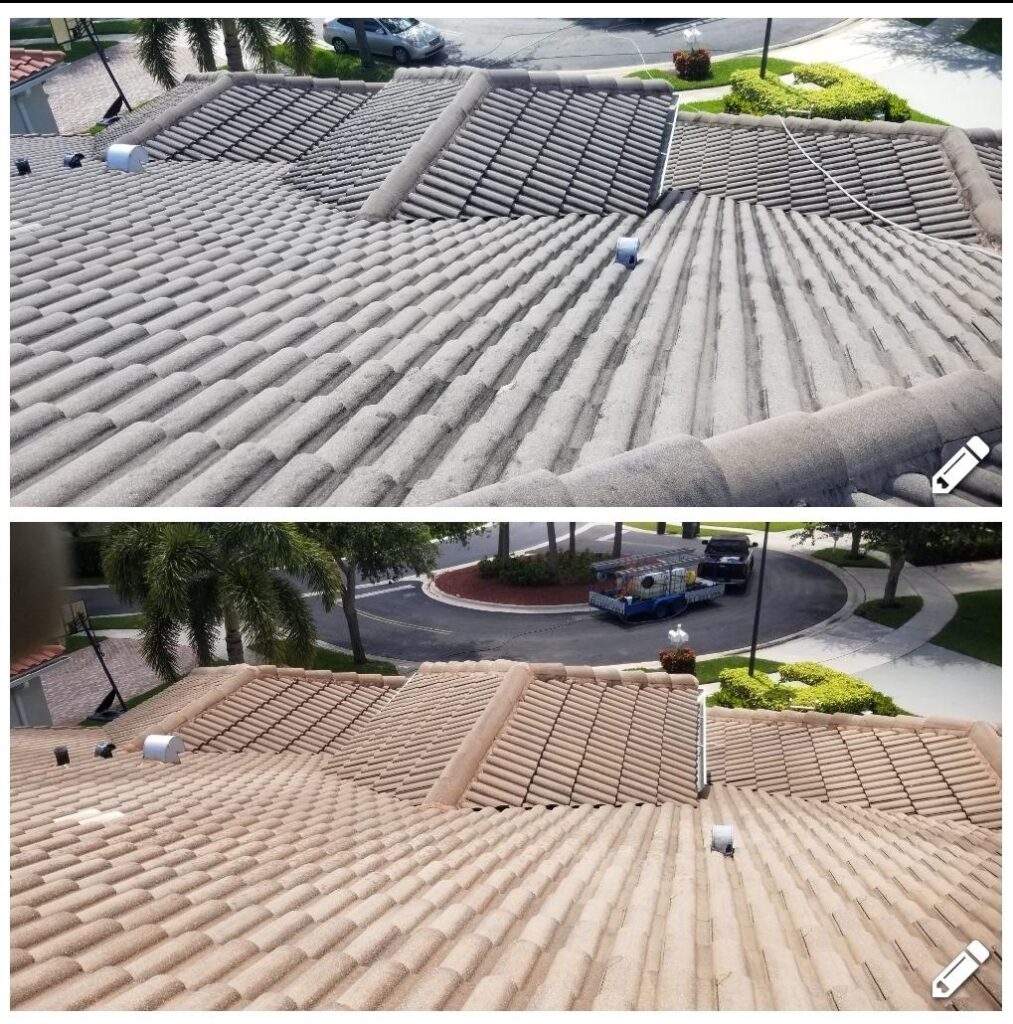Soft Wash Roof Cleaning Near Me