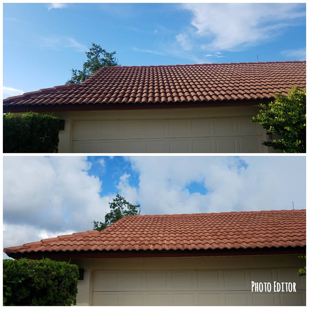 Soft Wash Roof Cleaning Near Me Blue Gander Window Cleaning