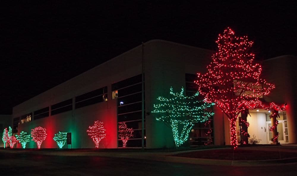 Commercial Christmas Lights Installation