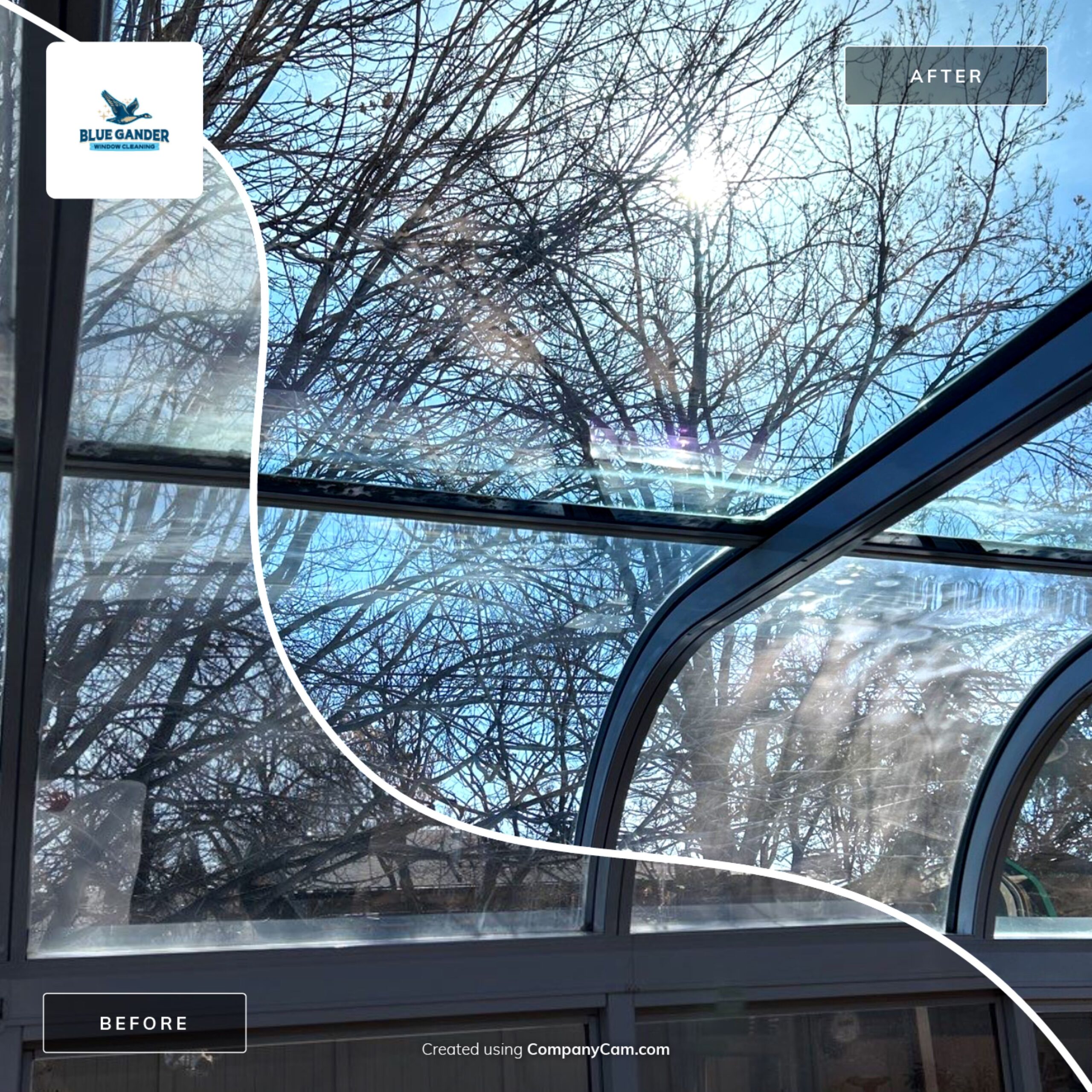 blue gander window cleaning Boise, ID