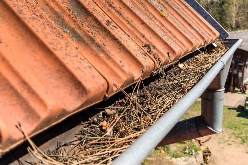 Professional Gutter Cleaning - Blue Gander Window Cleaning, Boise, ID