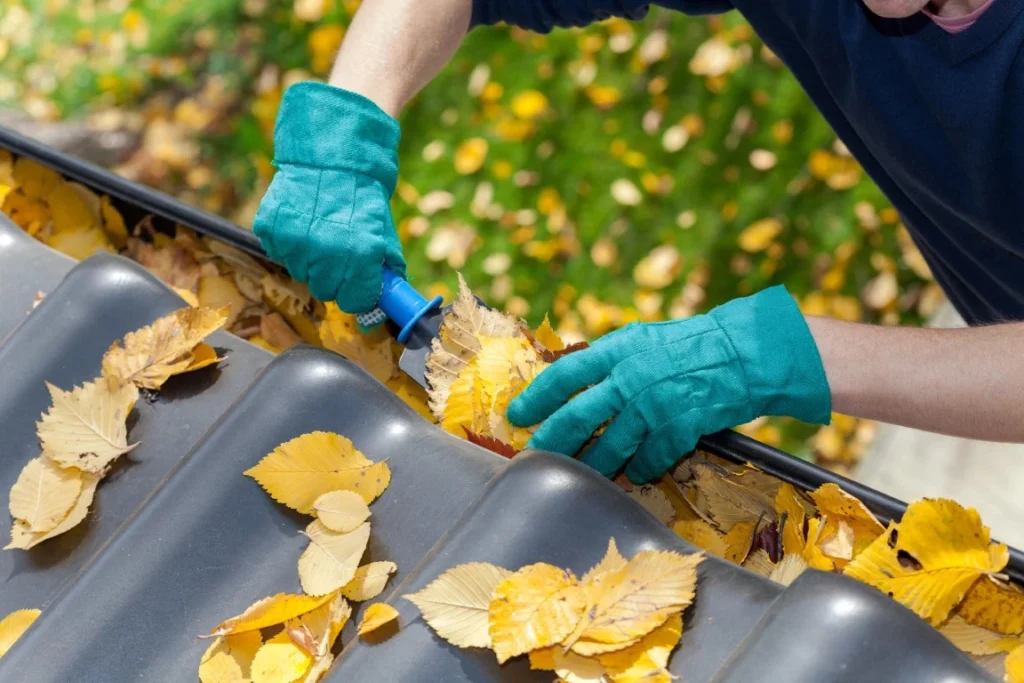 Professional Gutter Cleaning - Blue Gander Window Cleaning, Boise, ID