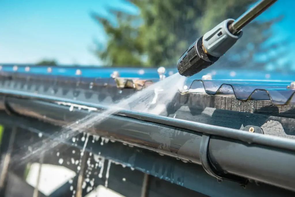 Power Washing And Pest Control: An Unexpected Partnership To Keep Your Home Clean Professional Gutter Cleaning in Boise, Idaho