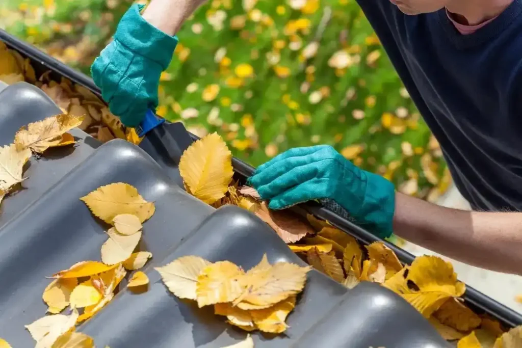 Professional Gutter Cleaning in Meridian, ID / kuna, id