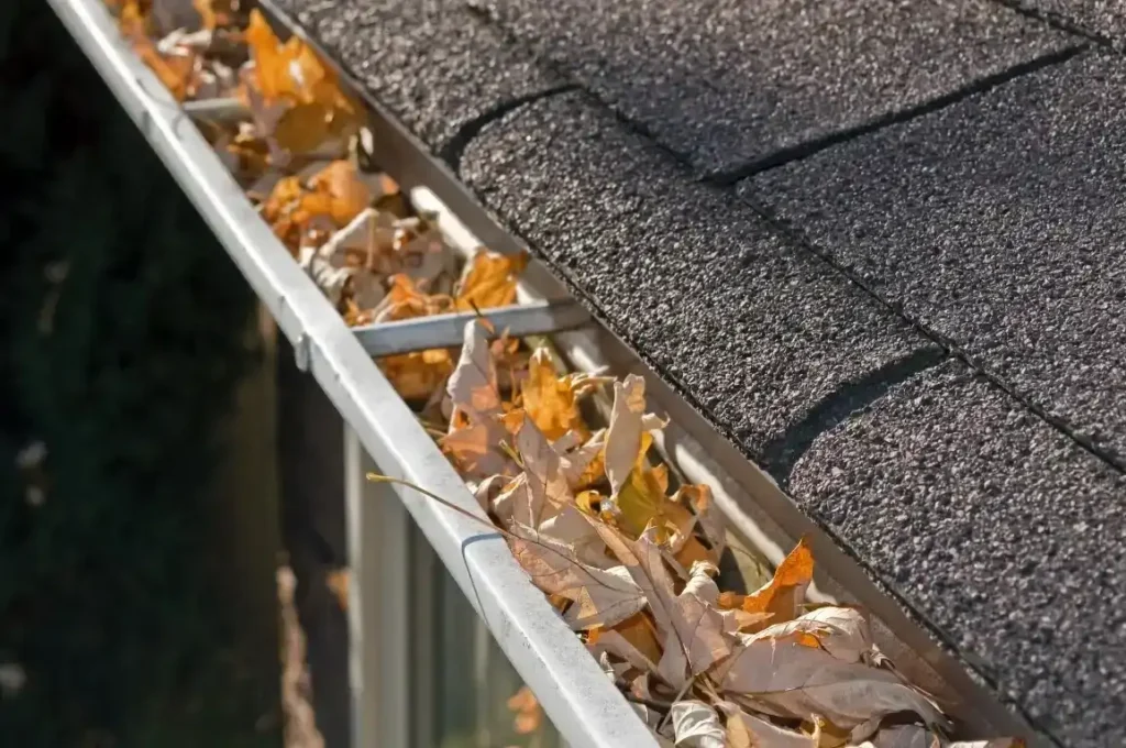 The Connection Between Clogged Gutters and Water Damage